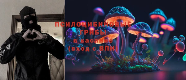 ПСИЛОЦИБИНОВЫЕ ГРИБЫ Козловка